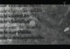 The Code