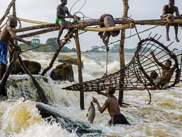 Congo: A Journey to the Heart of Africa