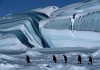 March of the Penguins (2006)