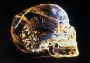 Legend of the Crystal Skulls