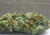 If Drugs Were Legal