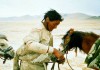 The Saltmen of Tibet