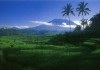 The Miracle of Bali: Night