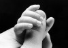 Cut: Slicing Through the Myths of Circumcision