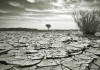 Meet The Climate Sceptics