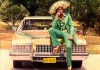 American Pimp