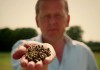 What’s Killing Our Bees