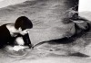 The Girl Who Talked to Dolphins