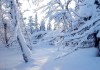 Survival – Without food in the cold