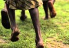 Lost Generation of Sudan