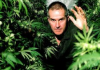 Cannabis: The Evil Weed