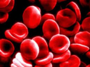 Autopsy: Emergency Room Massive Blood Loss
