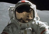 The Moon